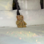 Sittelles-lodge-cubes-lit-peluche