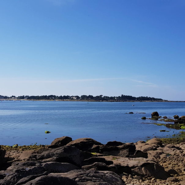 baie-concarneau-copyright-sittelles-lodge