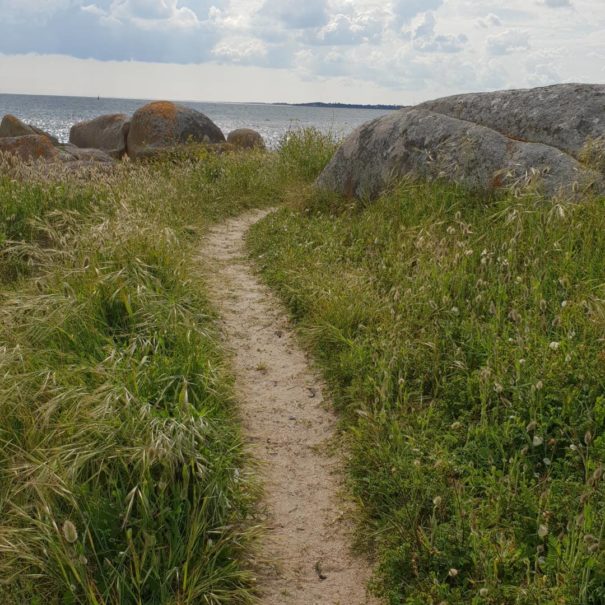 chemin-bord-de-mer-1-concarneau-copyright-sittelles-lodge