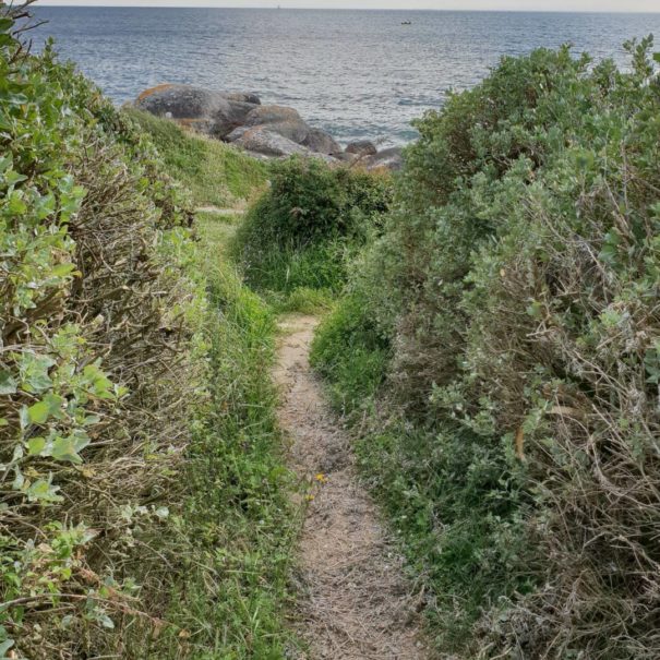 chemin-bord-demer-3-concarneau-copyright-sittelles-lodge