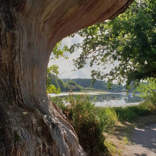 chemin-cotier-autour-concarneau-2-copyright-sittelles-lodge