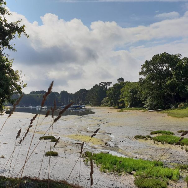 chemin-cotier-autour-concarneau-3-sittelles-lodge