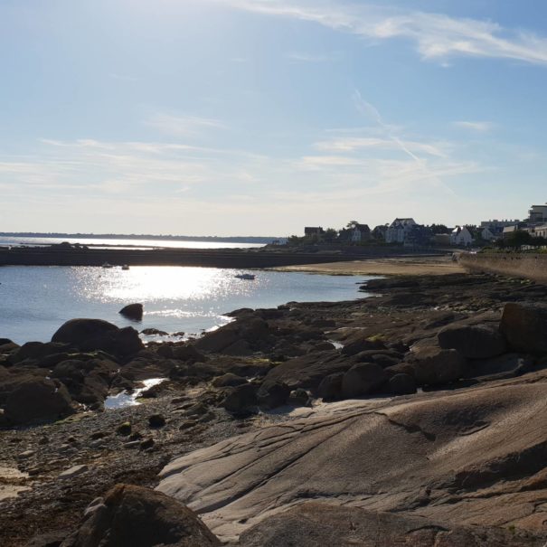 corniche-concarneau-saison-ete-sittelles-lodge