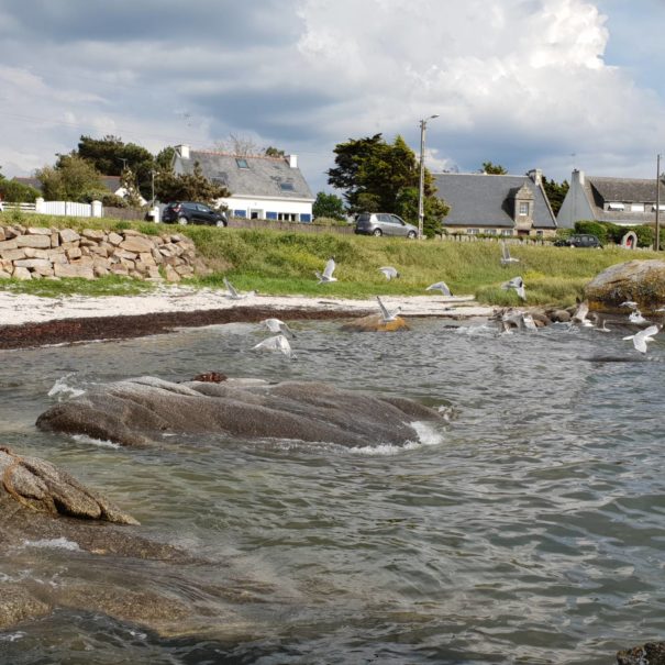 littoral-concarneau-copyright-sittelles-lodge