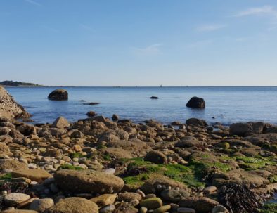 rochers-1-concarneau-copyright-sittelles-lodge