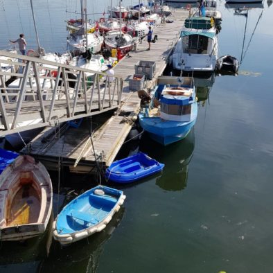 bateaux-concarneau-ete-copyright-sittelles-lodge