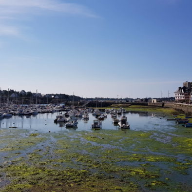 port-plaisance-maree-basse-concarneau-copyright-sittelles-lodge